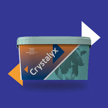 Crystallix Bubblenavi Rind